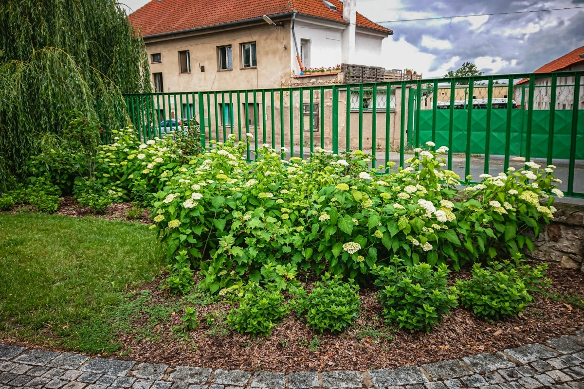 Komerční realizace 21